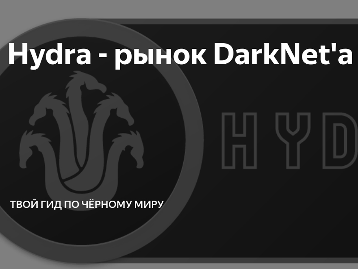 Почему не работает кракен