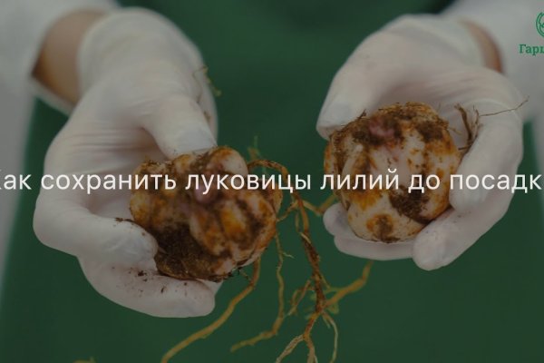 Кракен зайти