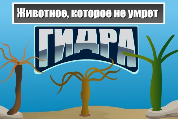 Кракен даркнет маркет ссылка тор