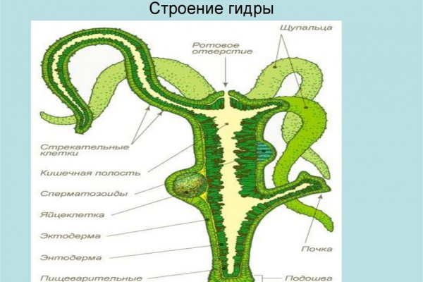 Как вернуть деньги с кракена