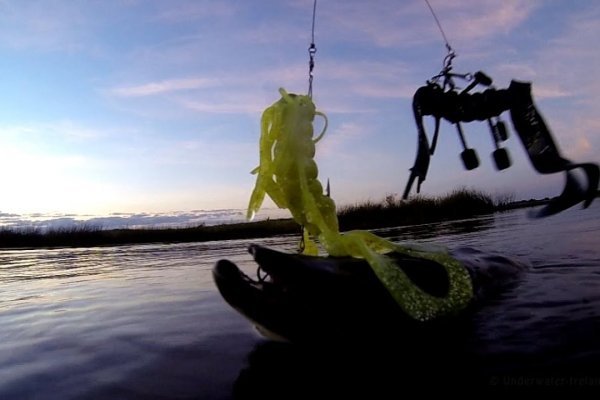 Kraken 12 at