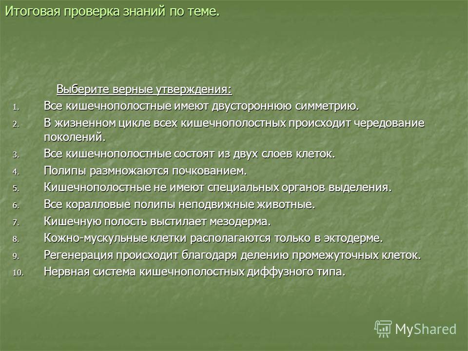Ссылки на кракен зеркала